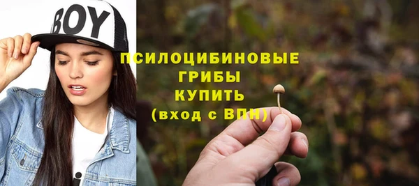 прущая мука Пересвет