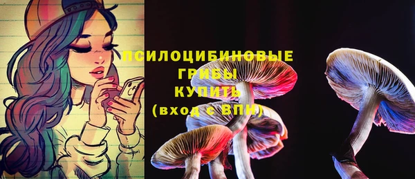 скорость Пестово