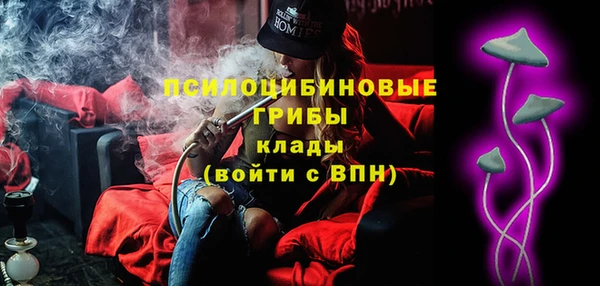мдпв Покачи