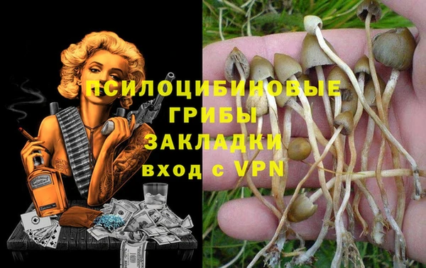 PSILOCYBIN Елабуга