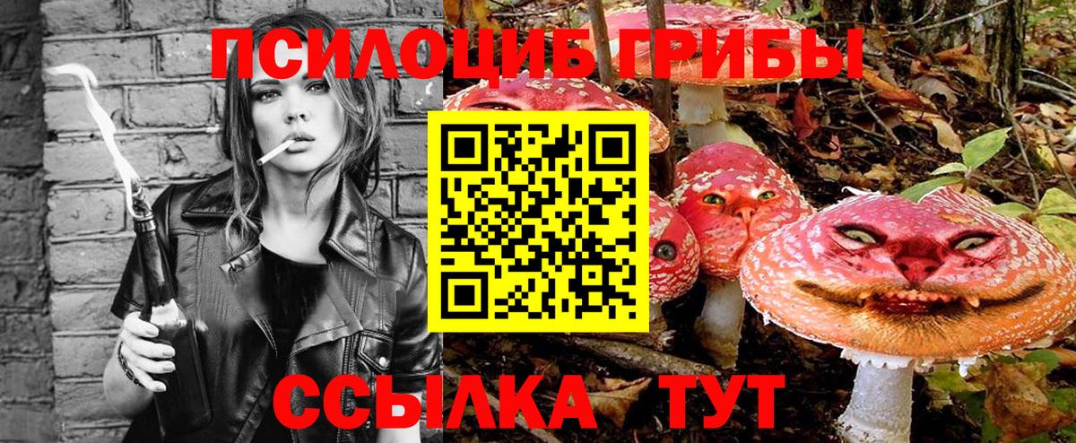 Галлюциногенные грибы мухоморы Анжеро-Судженск