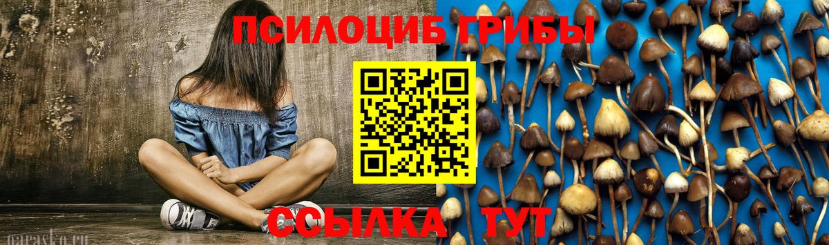 Анжеро-Судженск  Псилоцибиновые грибы Cubensis  Вход с VPN 
