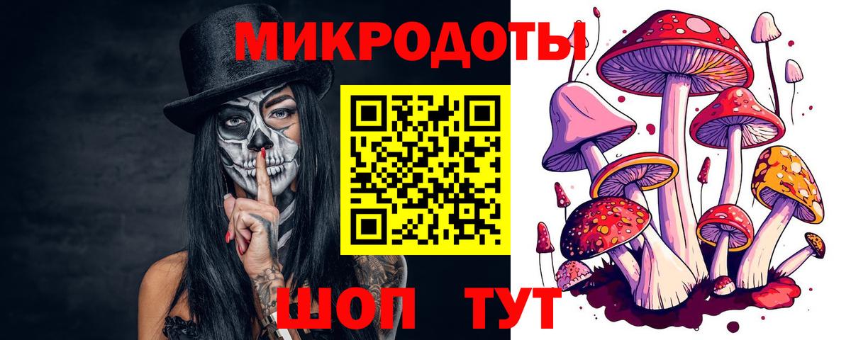 Псилоцибиновые грибы прущие грибы Анжеро-Судженск