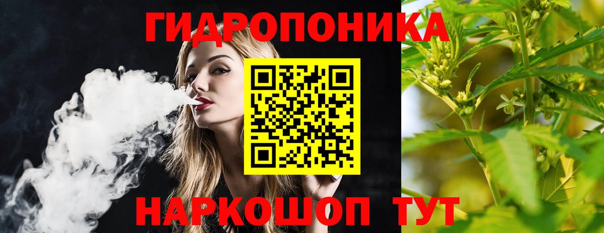 Шишки марихуана семена Анжеро-Судженск